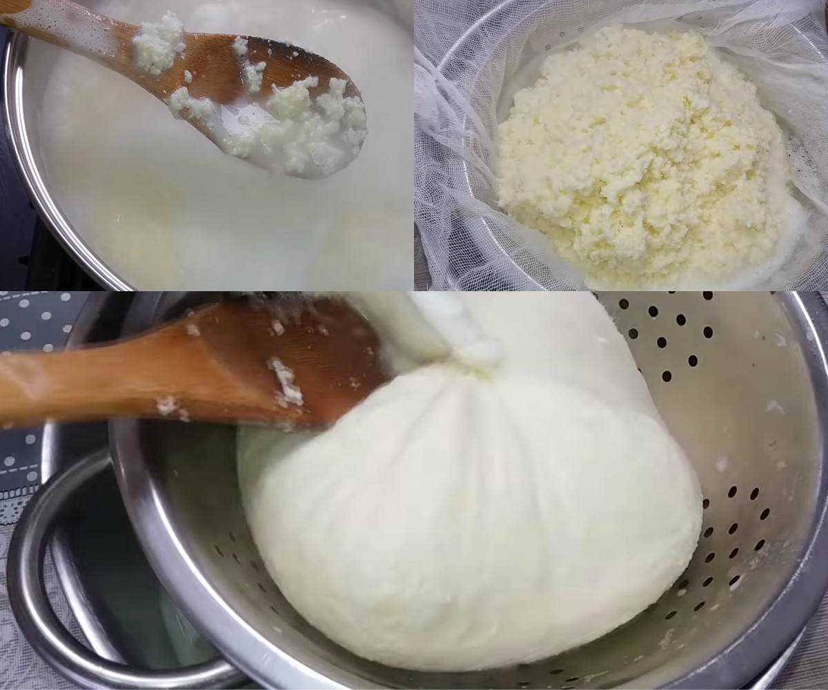 Как сделать настоящий твердый сыр из творога своими руками