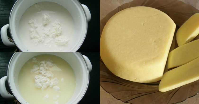 Как сделать настоящий твердый сыр из творога своими руками